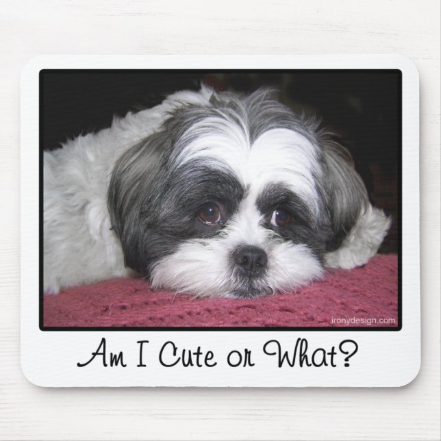 Belle The Shih Tzu Dog Mouse Pad (Front)