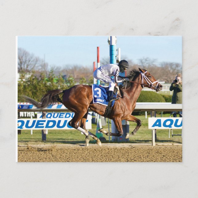 Bellera by Bernardini winning the Comely Stakes Postcard (Front)