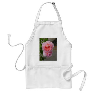 Belles Roses de Brantôme Apron