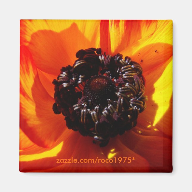bellezza nelle ombre magnet (Front)