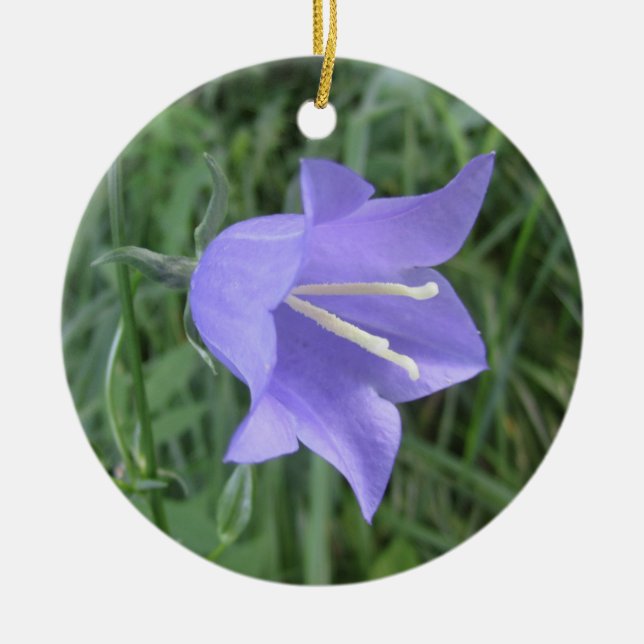 Bellflower Ceramic Ornament (Front)