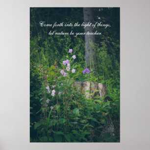 Bellflowers in the woods poster