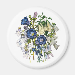 Bellflowers Magnet