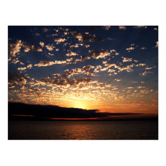Bellingham Sunset Postcard