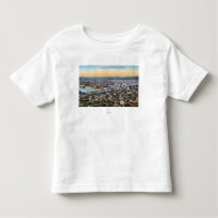 Bellingham, Washington - Aerial of City