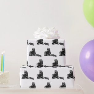 Bellows Camera With Film Wrapping Paper
