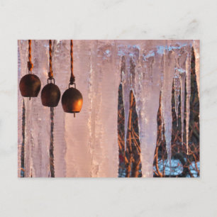 Bells Ice Icicles in Light of Setting Sun Postcard