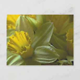 Bells On The Leaf Blades Postcard