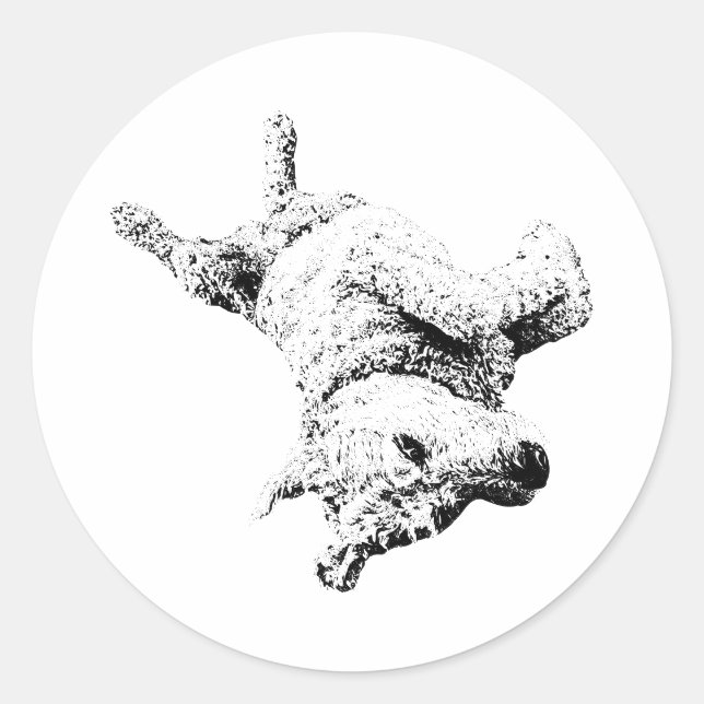 Belly Up Attitude Classic Round Sticker (Front)