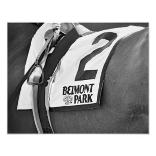 Belmont Park Since 1905 Photo Print