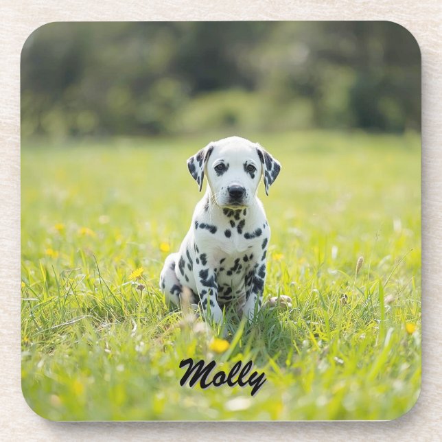 Beloved Dalmatian Personalised Coaster Set (Front)