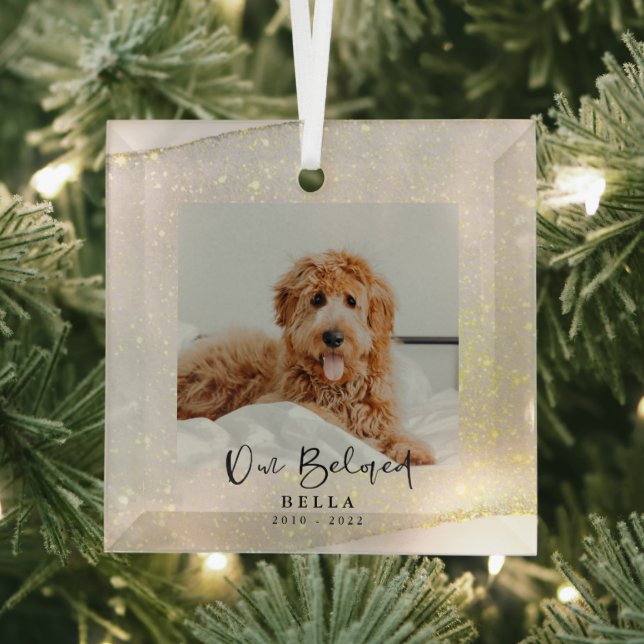 Beloved Pet Loss Memorial Keepsake  Glass Ornament (Insitu)