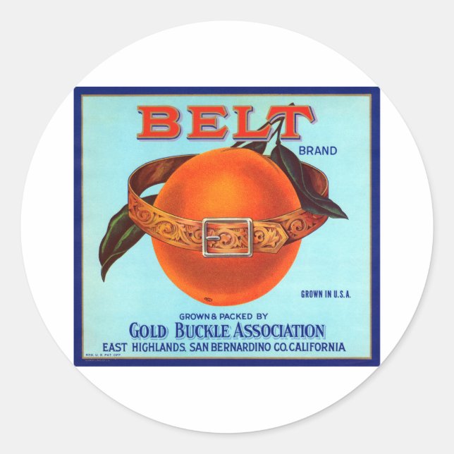 Belt Brand California Oranges Classic Round Sticker (Front)