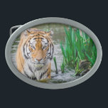 Belt buckle, for sale ! oval belt buckle<br><div class="desc">Everyone will love ❤ this cool 😎 tiger 🐯 belt buckle.</div>