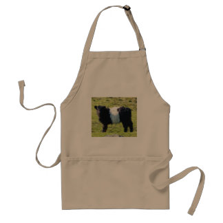 Belted Galloway calf Apron