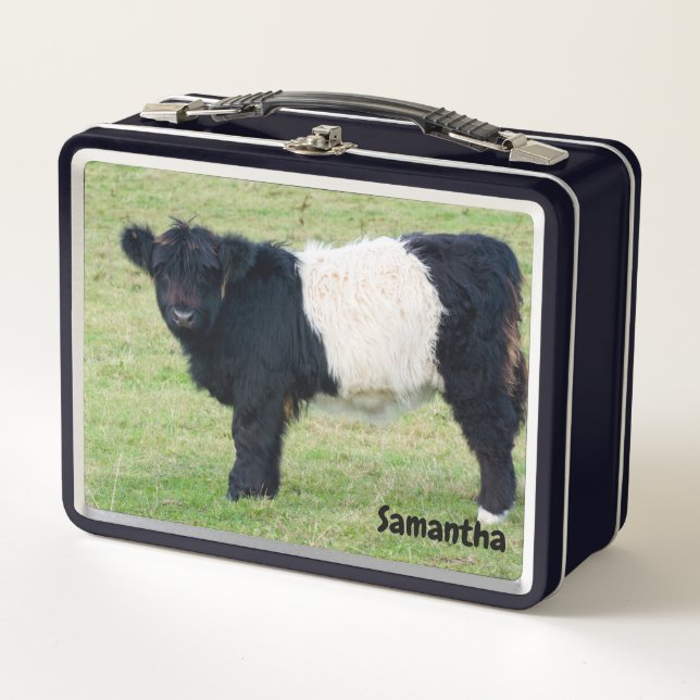 Belted Galloway Calf Metal Lunchbox (Front)