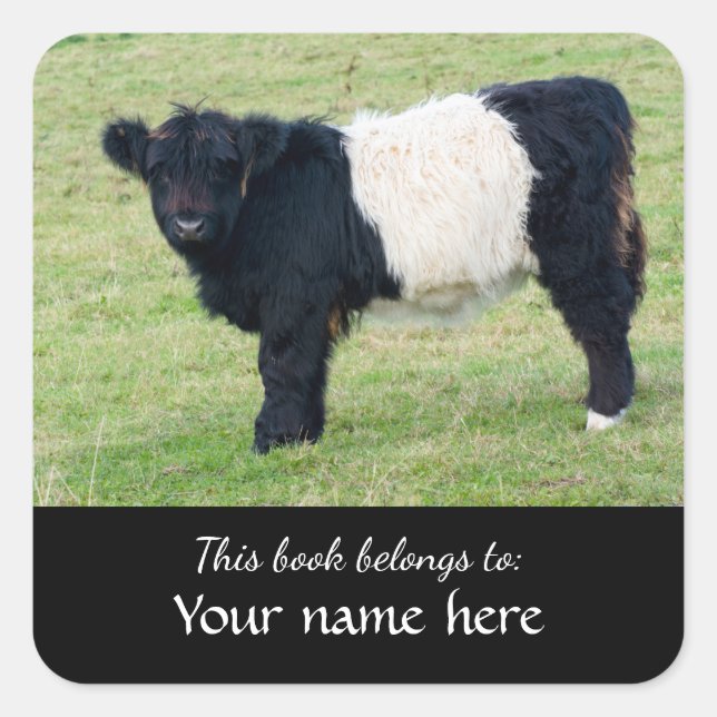Belted Galloway Calf "This book belongs to..."  Sq Square Sticker (Front)