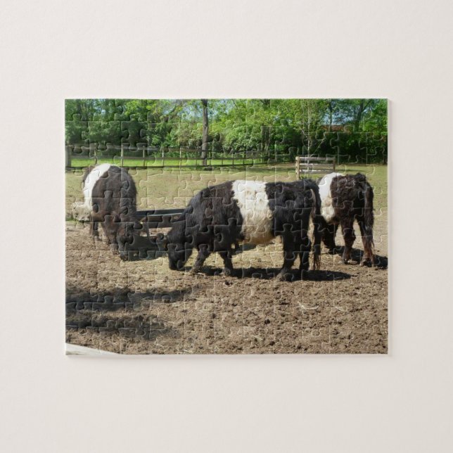 Belted Galloway Cattle Puzzle (Horizontal)