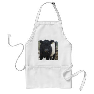 Belted Galloway Cow Eating Hay Standard Apron