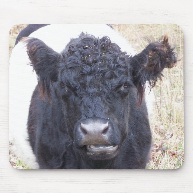 Belted Galloway Cow - Emma Mouse Pad (Front)
