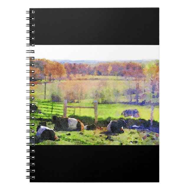 Belted Galloway cow herd resting watercolour paint Notebook (Front)