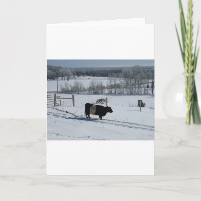 Belted Galloway Cow in a Snowy Landscape Card (Front)