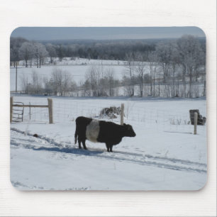 Belted Galloway Cow in a Snowy Landscape Mouse Pad