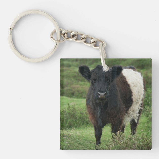 Belted Galloway Cow Key Ring (Front)