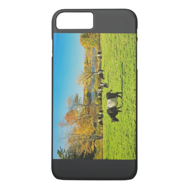 Belted Galloway Cows Grazing On Grass In Fall Case-Mate iPhone Case (Back)
