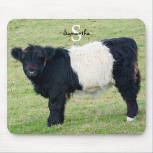 Belted Galloway Mouse Mouse Pad