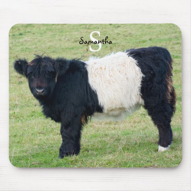 Belted Galloway Mouse Pad (Front)