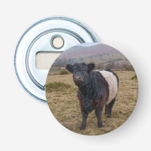 Belted Galloway Standing Proud on Dartmoor Farmlan Bottle Opener