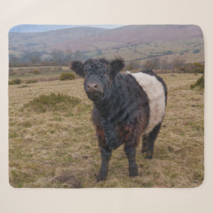 Belted Galloway Standing Proud on Dartmoor Farmlan Sherpa Blanket