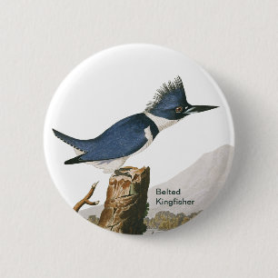Belted Kingfisher, Audubon, Birdwatcher, Bird 6 Cm Round Badge