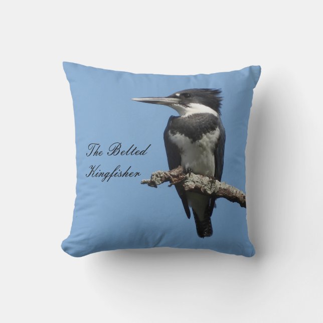 Belted Kingfisher close up  Cushion (Front)