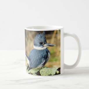 Belted Kingfisher Coffee Mug