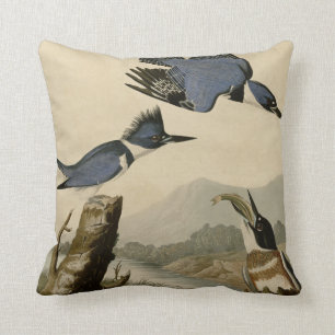 Belted Kingfisher Cushion