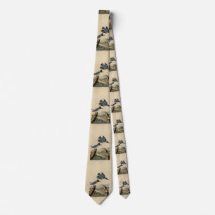 Belted Kingfisher from Audubon's Birds of America Tie