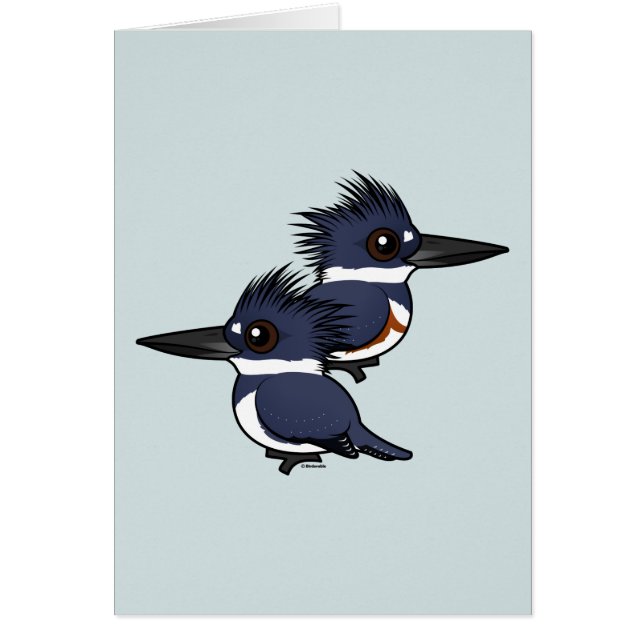Belted Kingfisher pair (Front)