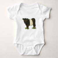 'Beltie' Belted Galloway