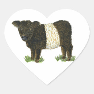 'Beltie' Belted Galloway Heart Sticker