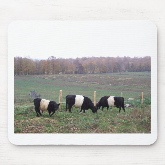 Beltie Cow Herd in Fall Mouse Pad (Front)