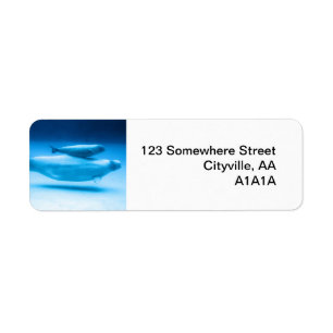 Beluga Mother and Baby Return Address Label