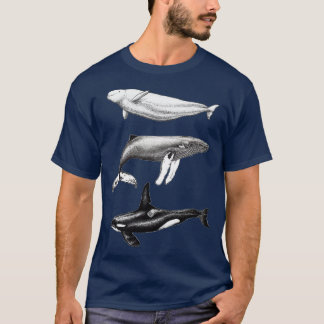 Beluga orca and humpback whale ink illustrations T-Shirt