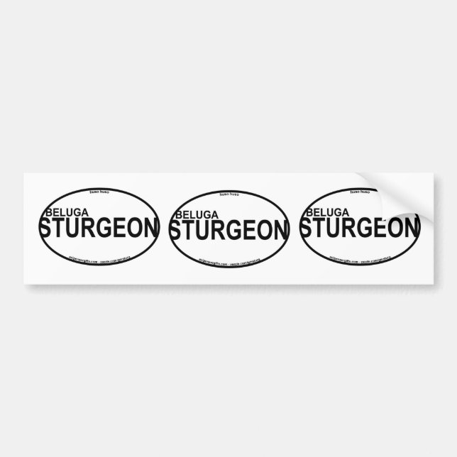 Beluga Sturgeon Euro Stickers (Front)