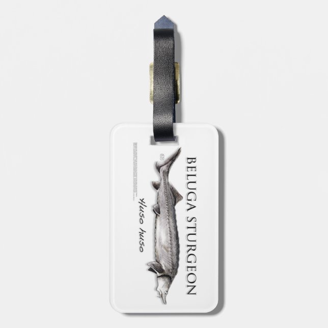 Beluga Sturgeon Luggage Tag (Back Vertical)