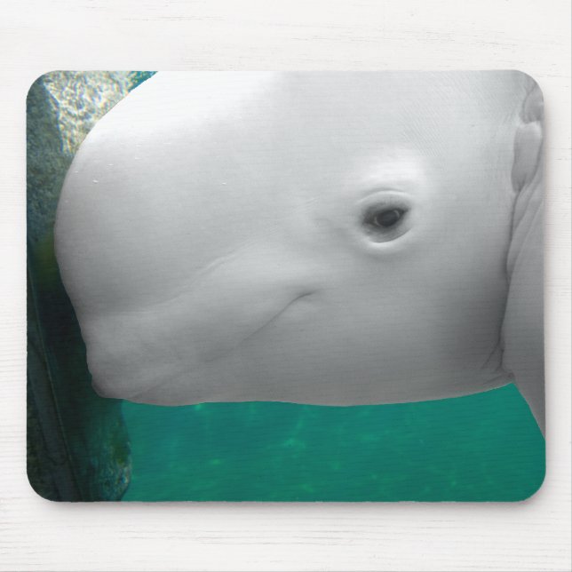 Beluga Watching Mousepad (Front)