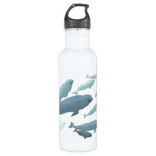 Beluga Whale Art Marine Life 710 Ml Water Bottle