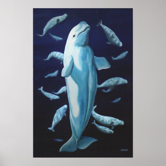 Beluga Whale Art Print Marinelife Whale Painting (Front)