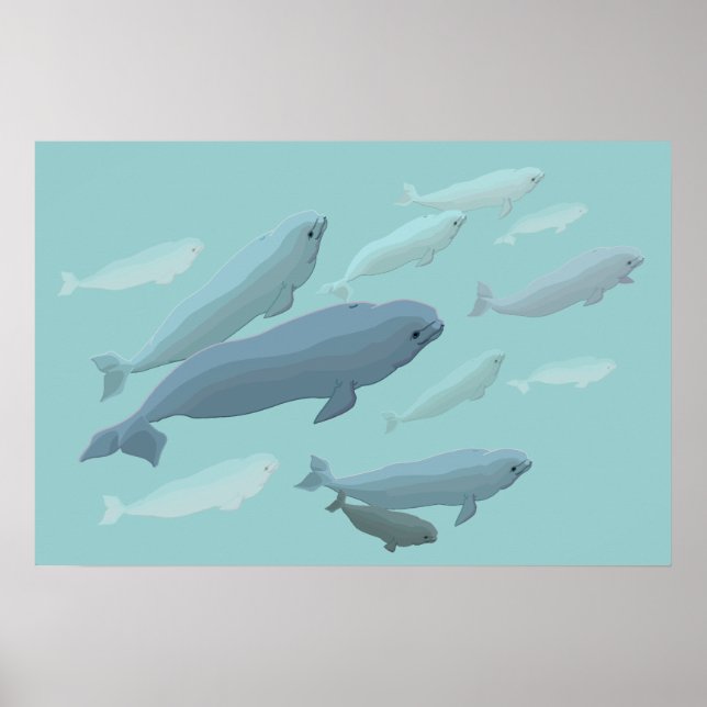 Beluga Whale Art Print Marinelife Whale Poster (Front)